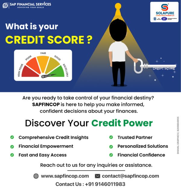 CIBIL Report Service