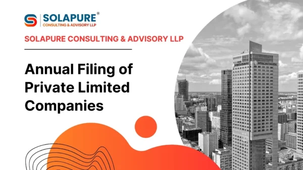 Annual Filing of Private Limited Companies